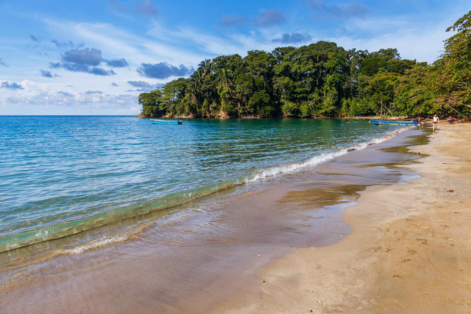 Gentle waves lap a sandy beach beside a forested headland, with small boats floating in clear blue water.