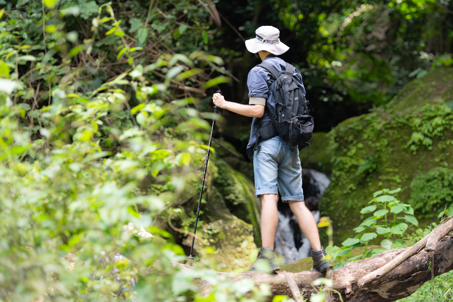 Hiker with a backpack, sun hat, and trekking pole standing on a fallen log beside a stream in lush forest.